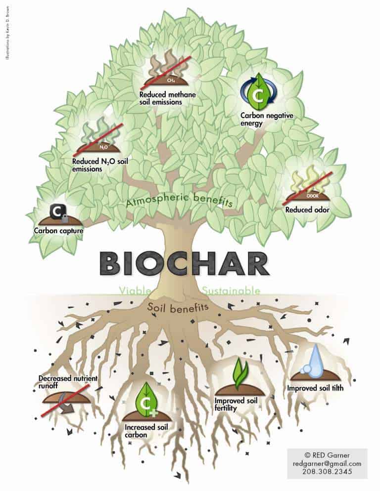 BIOCHARTREE